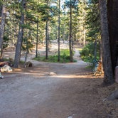 Review photo of Tuolumne Meadows Campground — Yosemite National Park by Darrin L., August 10, 2016