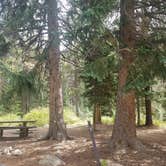 Review photo of Cobblerest Campground — Uinta Wasatch Cache National Forest by Alan B., September 22, 2018