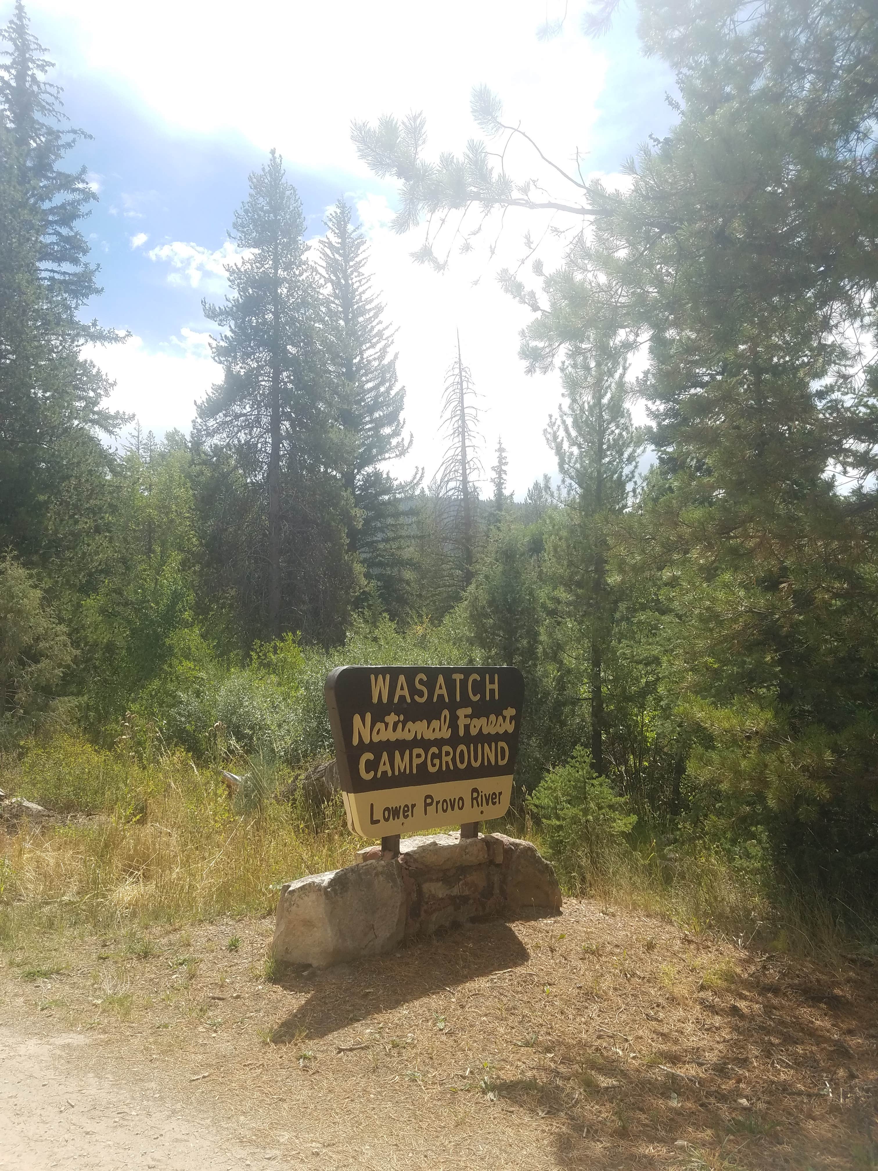 Camper submitted image from Lower Provo Campground — Uinta Wasatch Cache National Forest - 5