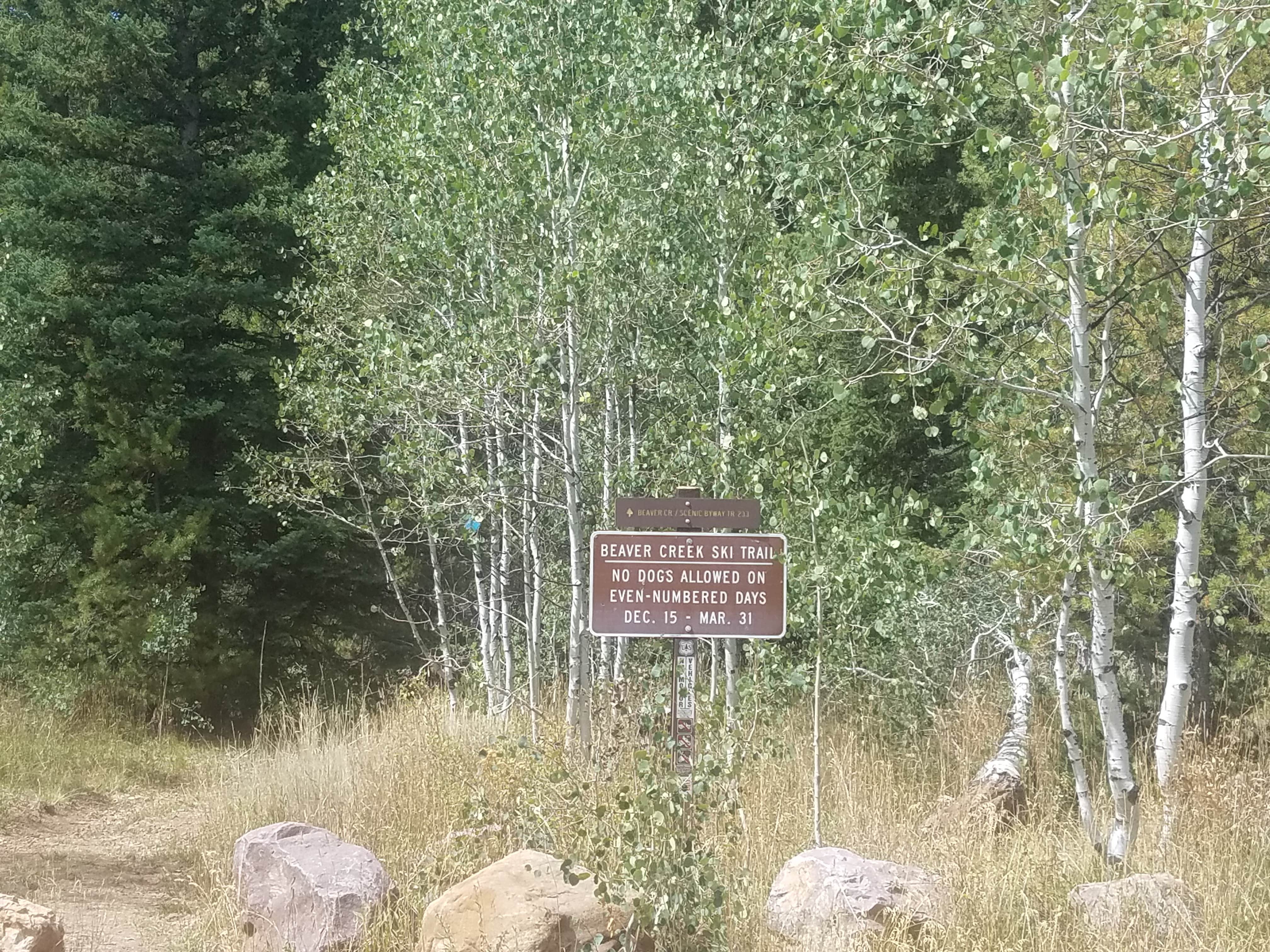 Camper submitted image from Lower Provo Campground — Uinta Wasatch Cache National Forest - 2