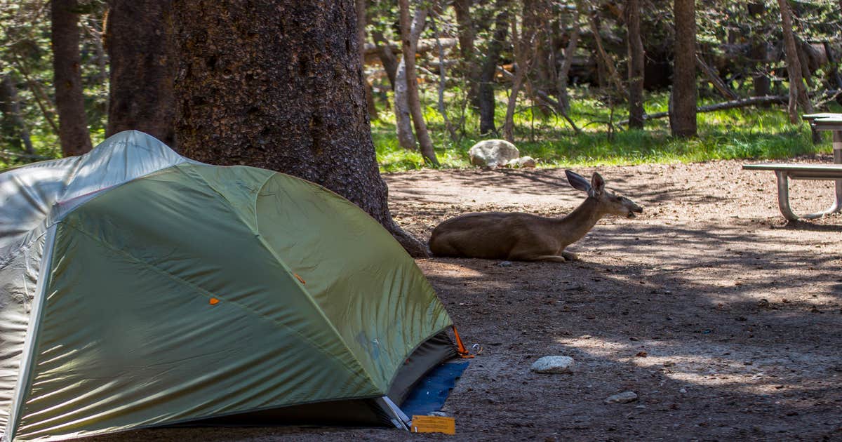 Tuolumne Meadows Campground — Yosemite National Park - Main photo