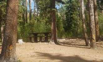 Camping near Pine Valley North Wasatch Cach: Lower Provo River Campground, Kamas, Utah