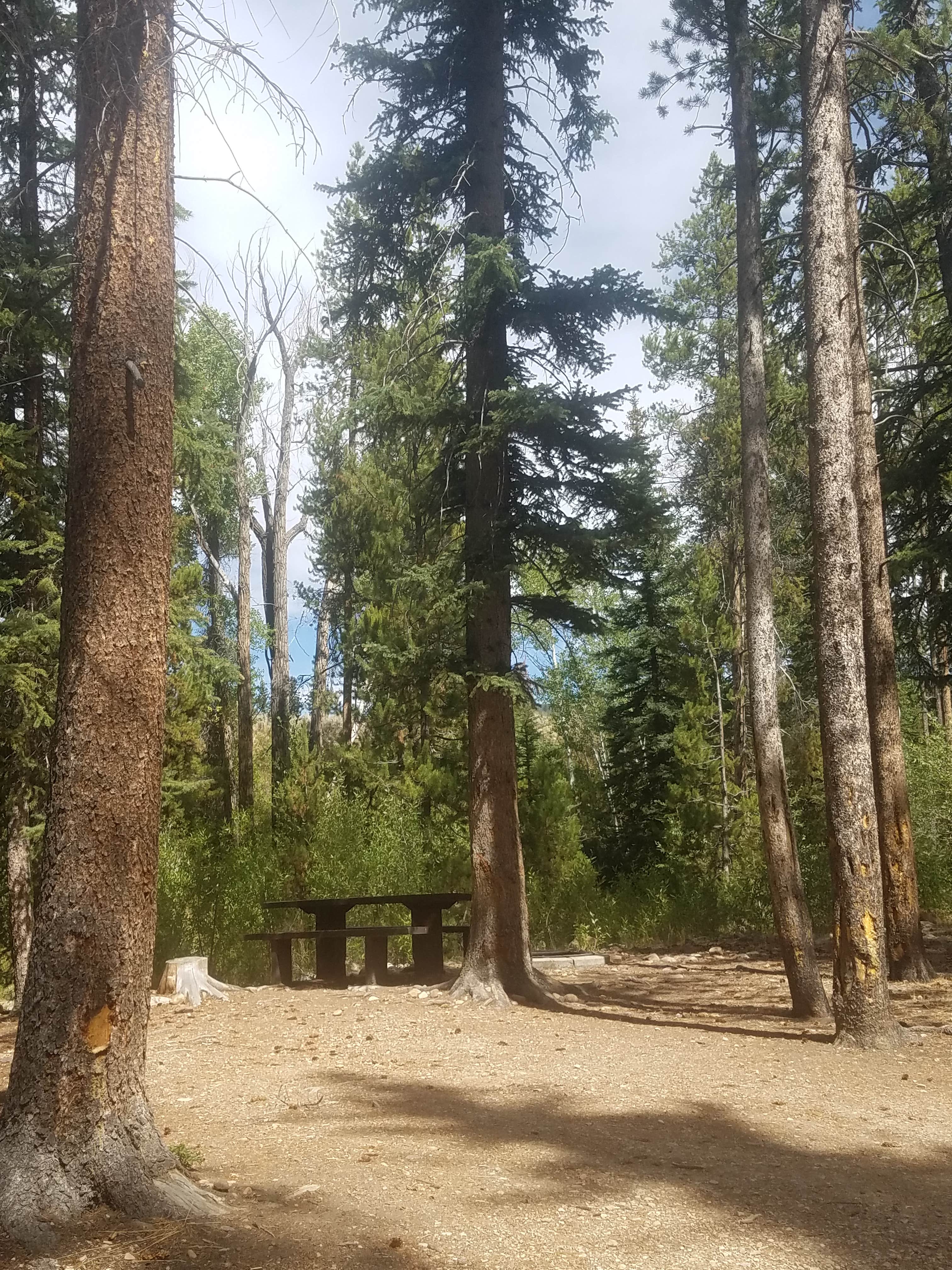 Camper submitted image from Lower Provo Campground — Uinta Wasatch Cache National Forest - 1