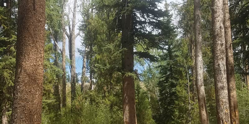 Camper submitted image from Lower Provo Campground — Uinta Wasatch Cache National Forest