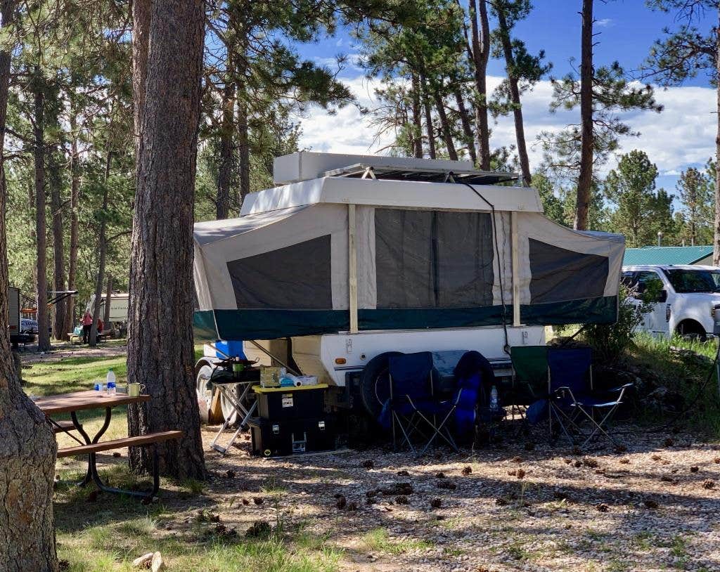 The Dyrt's photo at Beaver Lake Campground near Custer, SD