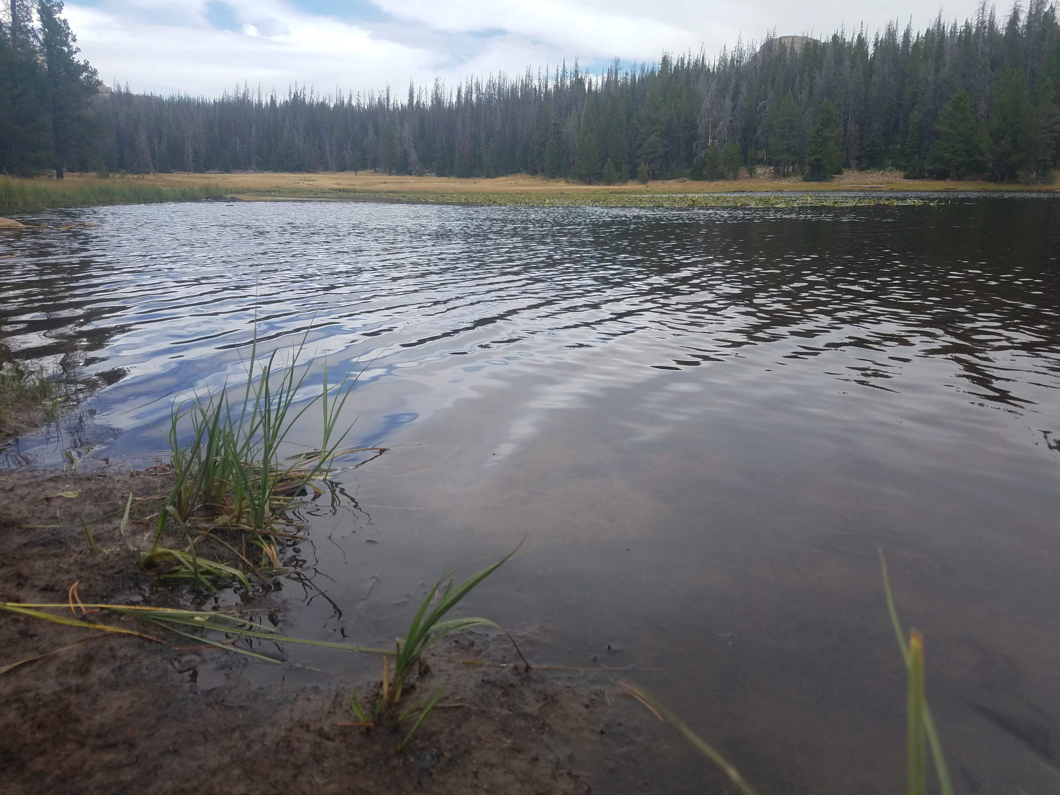 Camper submitted image from Lilly Lake Campground — Uinta Wasatch Cache National Forest - 3