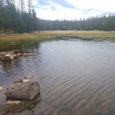 Review photo of Lilly Lake Campground by Alan B., September 22, 2018