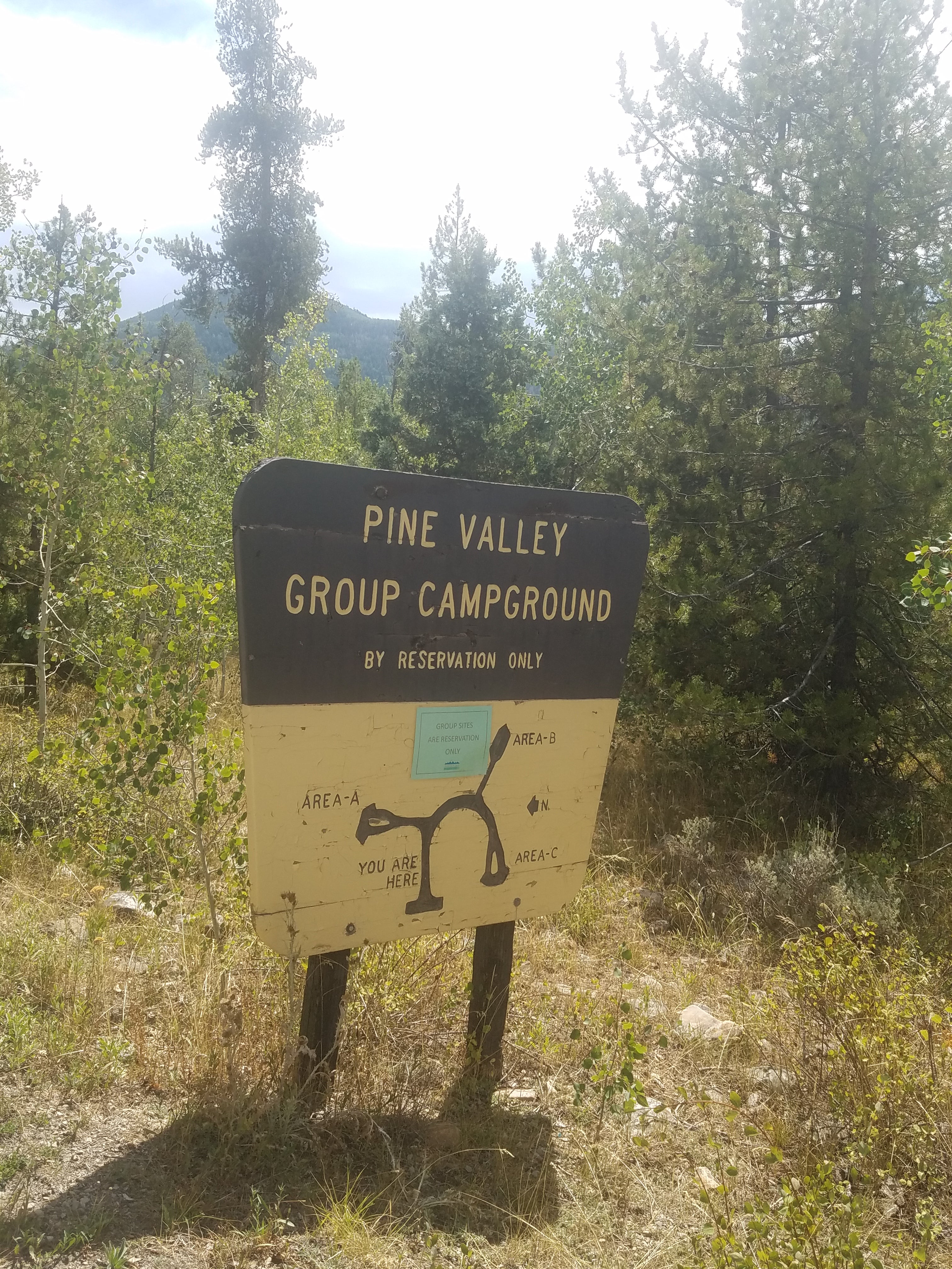 Camper submitted image from Pine Valley North Wasatch Cach - 4