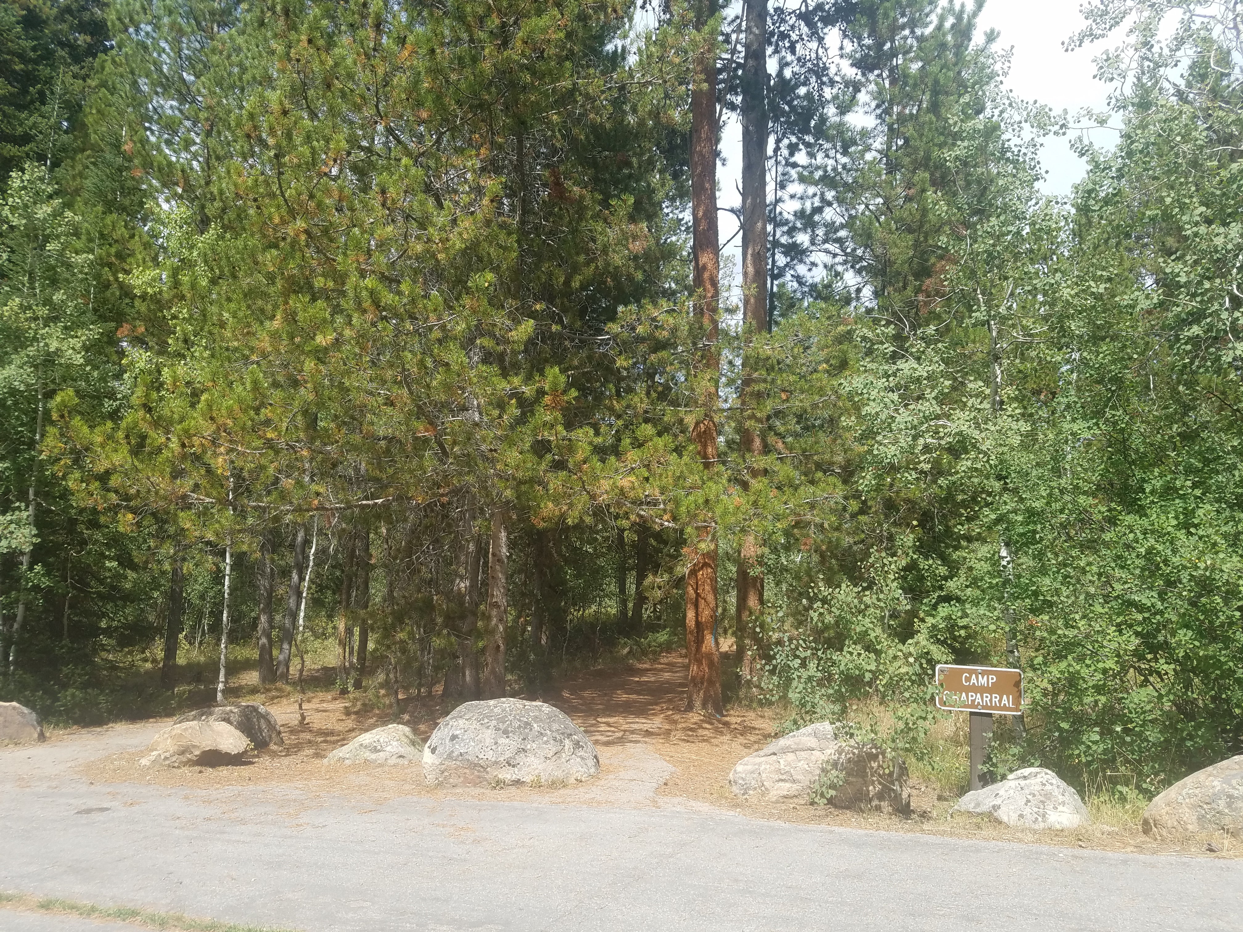 Camper submitted image from Pine Valley North Wasatch Cach - 2