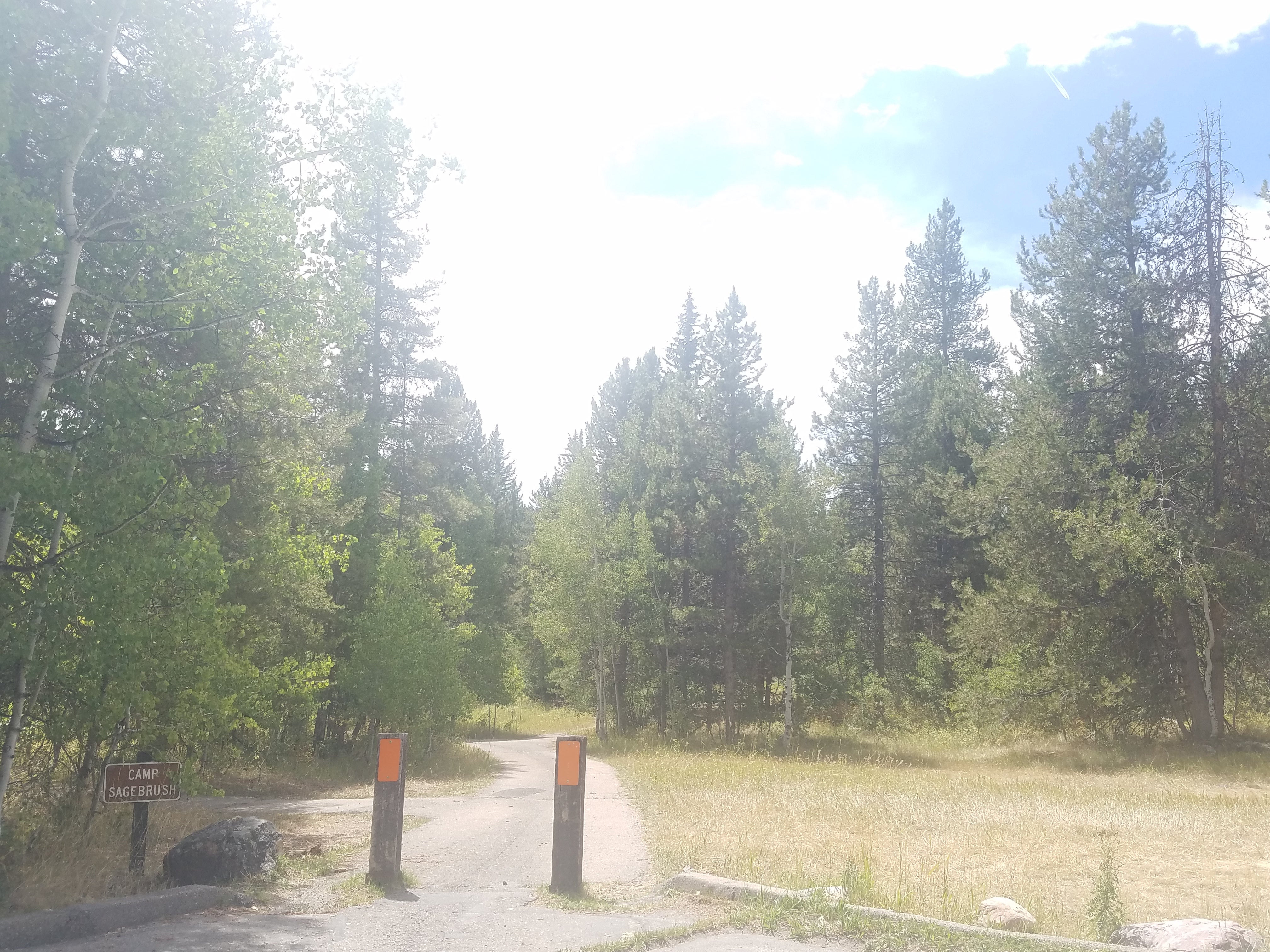 Camper submitted image from Pine Valley North Wasatch Cach - 1