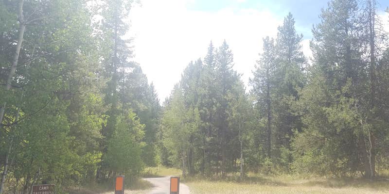 Camper submitted image from Pine Valley North Wasatch Cach