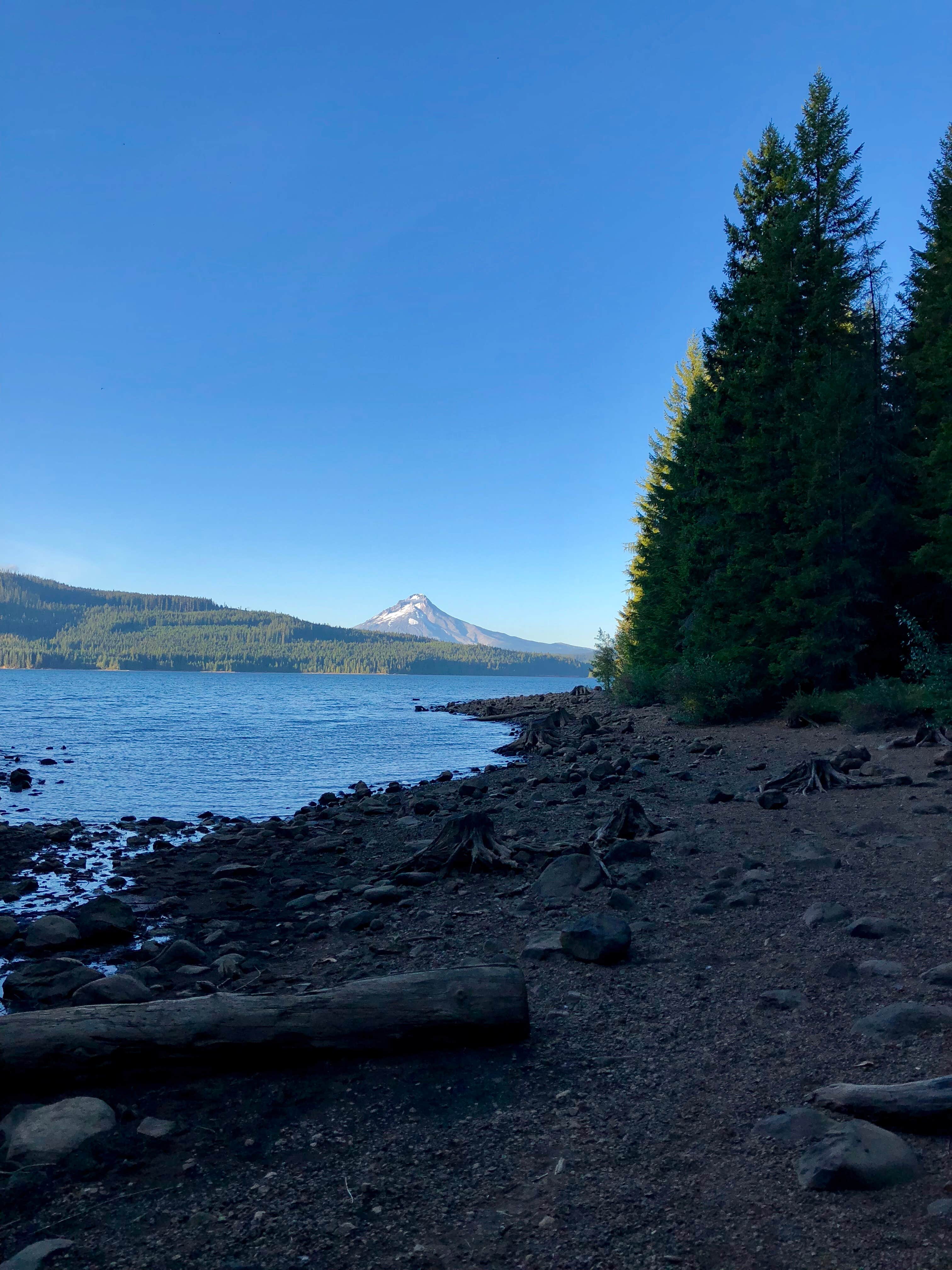 Camper-submitted photo at Hoodview Campground near Government Camp, OR