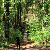 Review photo of Airey Lake Recreation Area by Katherine H., September 22, 2018