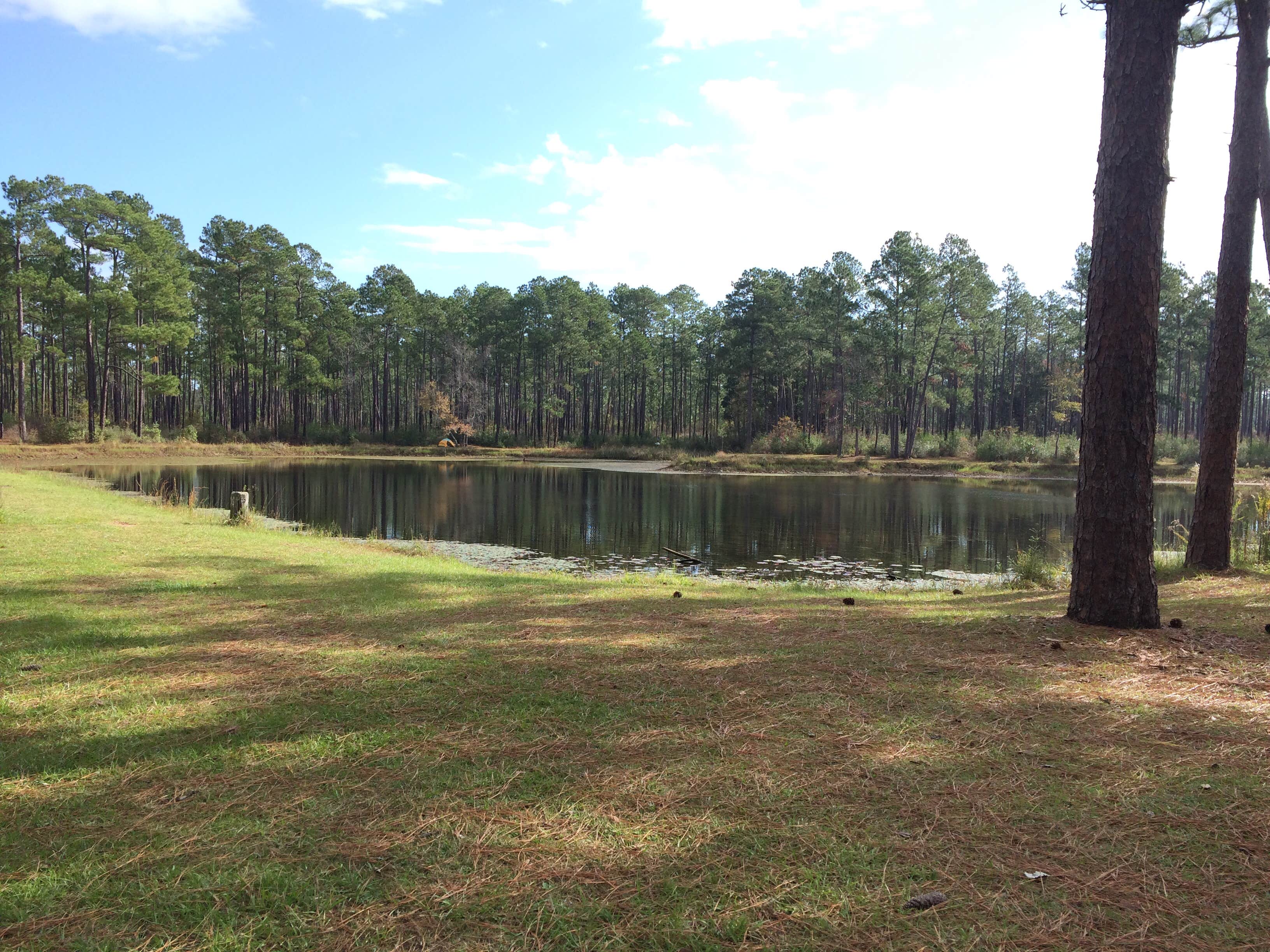 Camper-submitted photo at Airey Lake Recreation Area in Mississippi