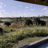 Review photo of Pine Grove Campground — Jonathan Dickinson State Park by Brad B., December 15, 2022