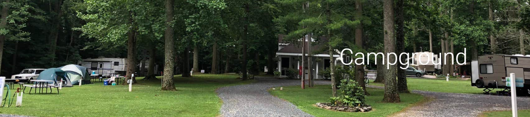 Manager P.'s photo at Pinetree Associates near Huntingtown, MD