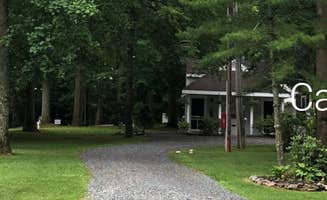 Manager P.'s photo at Pinetree Associates near Fairmount Heights, MD