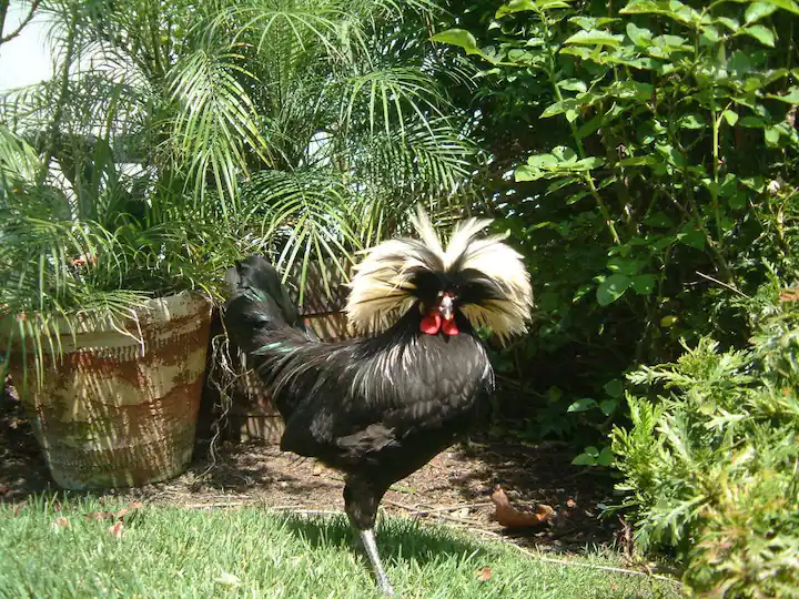 Camper-submitted photo at Morning Song Farm Glamping near Murrieta, CA
