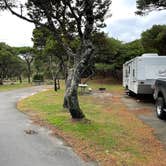 Review photo of Nehalem Bay State Park Campground by Kelly H., December 15, 2022