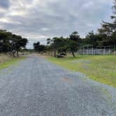 Review photo of Nehalem Bay State Park Campground by Kelly H., December 15, 2022