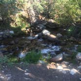 Review photo of Baker Creek Campground — Great Basin National Park by Liv L., September 22, 2018