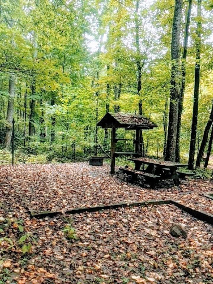 Camper-submitted photo at 3 Day Nature Effect in the Smoky Mountains near Kingsport, TN