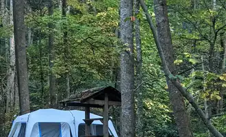 Camping near Woodsmoke Campground: 3 Day Nature Effect in the Smoky Mountains, Erwin, Tennessee