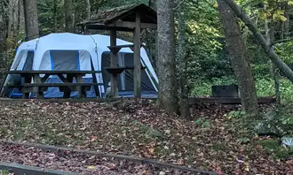Camping near The Laurels Picnic Area Pavilions: 3 Day Nature Effect in the Smoky Mountains, Erwin, Tennessee