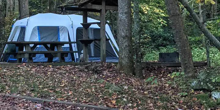 Camper submitted image from 3 Day Nature Effect in the Smoky Mountains