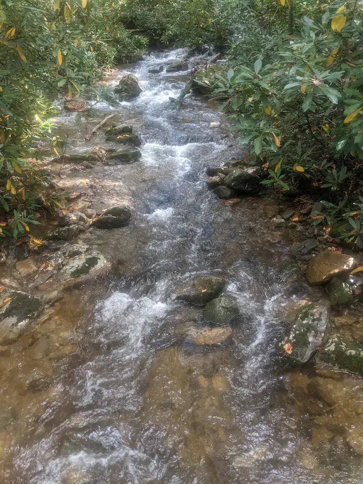Camper-submitted photo at 3 Day Nature Effect in the Smoky Mountains near Kingsport, TN
