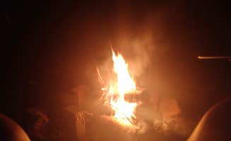 Amy R.'s photo at Christopher Run Campground near Ruther Glen, VA