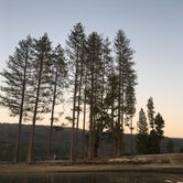 Review photo of Lupine/Cedar Bluff Campground by Kelsey M., September 22, 2018