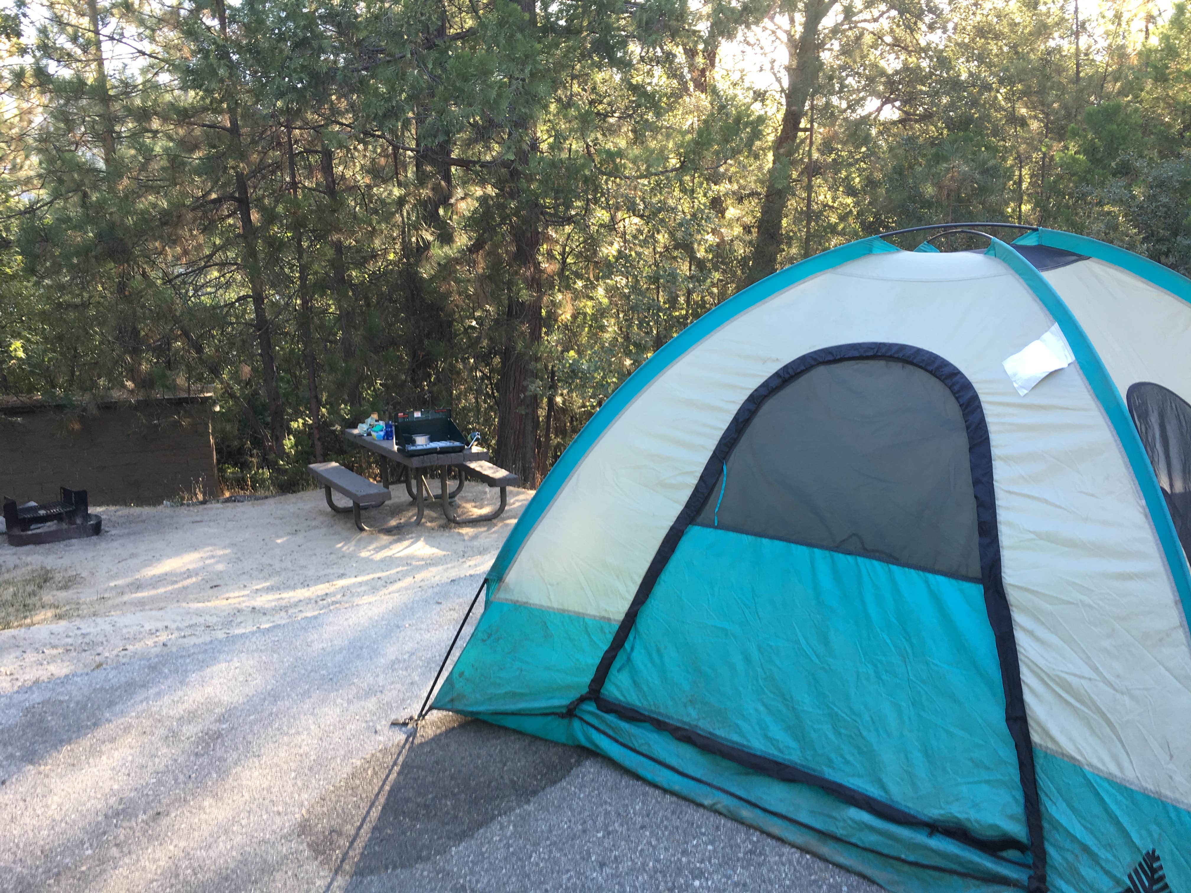 Camper submitted image from Lupine/Cedar Bluff Campground - 5