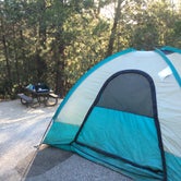 Review photo of Lupine/Cedar Bluff Campground by Kelsey M., September 22, 2018