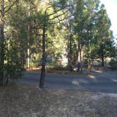 Review photo of Lupine/Cedar Bluff Campground by Kelsey M., September 22, 2018