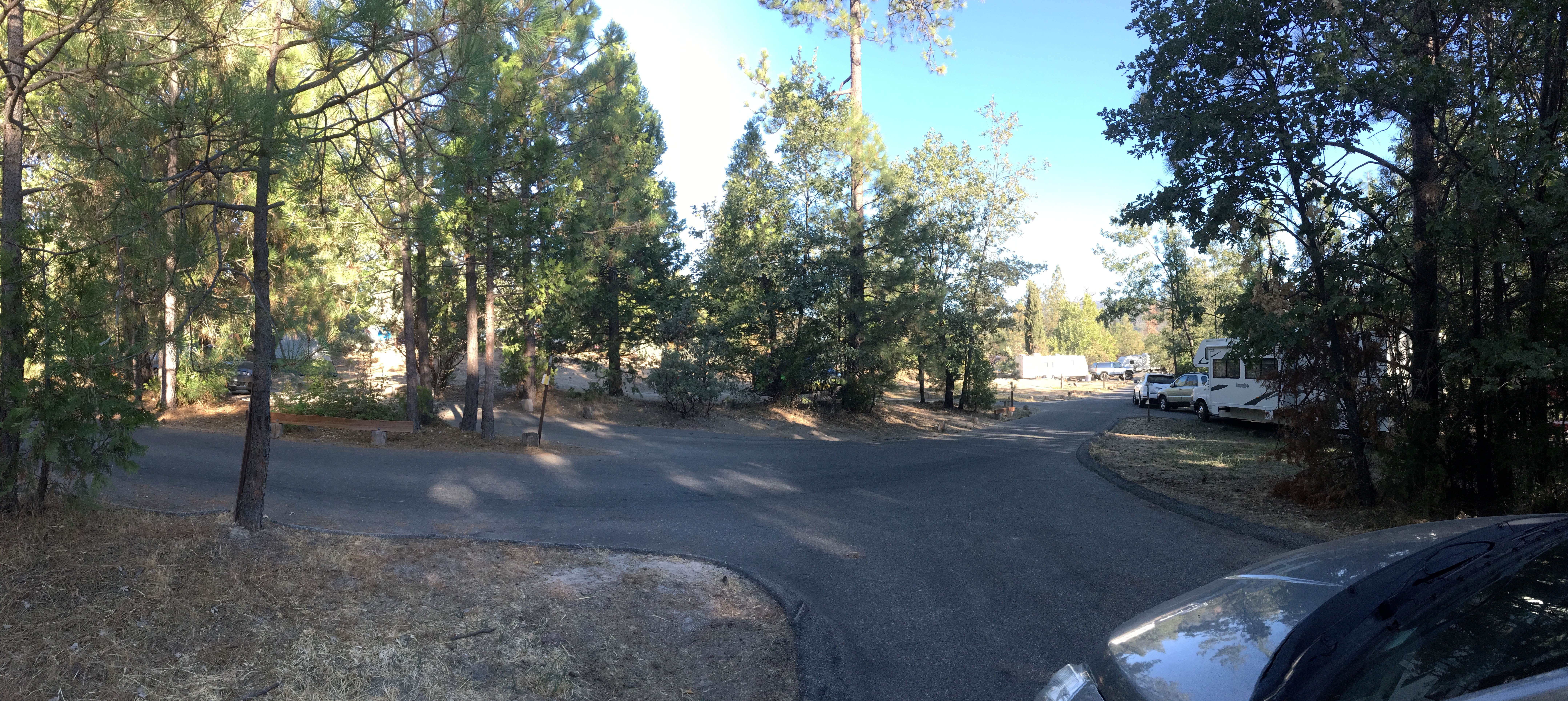 Camper submitted image from Lupine/Cedar Bluff Campground - 3