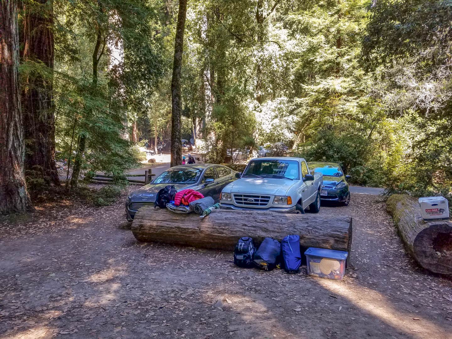 Camper submitted image from Lower Blooms Creek — Big Basin Redwoods State Park — CAMPGROUND CLOSED - 4