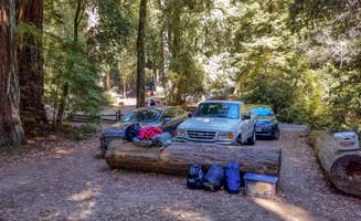 Darrin L.'s photo at Lower Blooms Creek — Big Basin Redwoods State Park — CAMPGROUND CLOSED near Palo Alto, CA