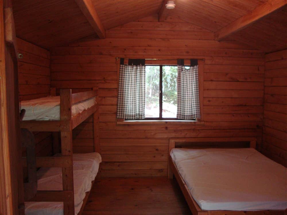 The Dyrt's photo of glamping accommodations at Spacious Skies Bear Den near Black Mountain, NC