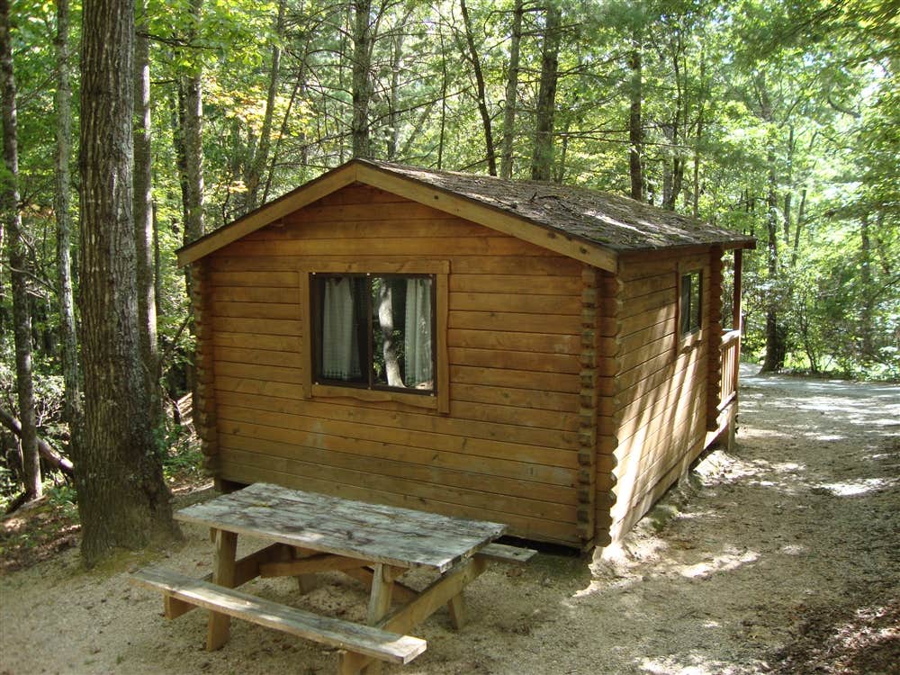 The Dyrt's photo of a cabin at Spacious Skies Bear Den near Montreat, NC