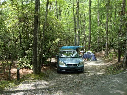 The Dyrt's photo of camping with pets at Spacious Skies Bear Den near Old Fort, NC