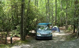 The Dyrt's photo at Spacious Skies Bear Den near Spruce Pine, NC
