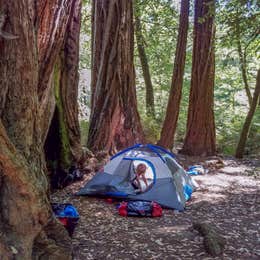 Lower Blooms Creek — Big Basin Redwoods State Park — CAMPGROUND CLOSED