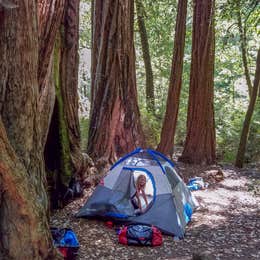 Big Basin Redwoods State Park — Big Basin Redwoods State Park - CAMPGROUND CLOSED