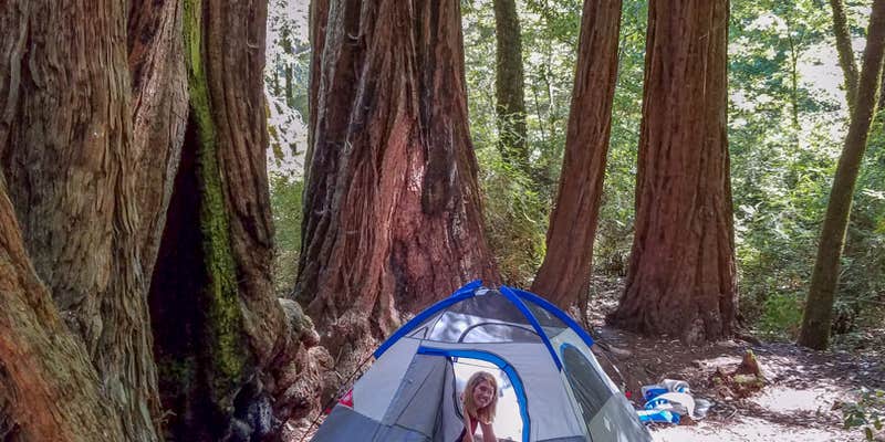 Camper submitted image from Lower Blooms Creek — Big Basin Redwoods State Park — CAMPGROUND CLOSED