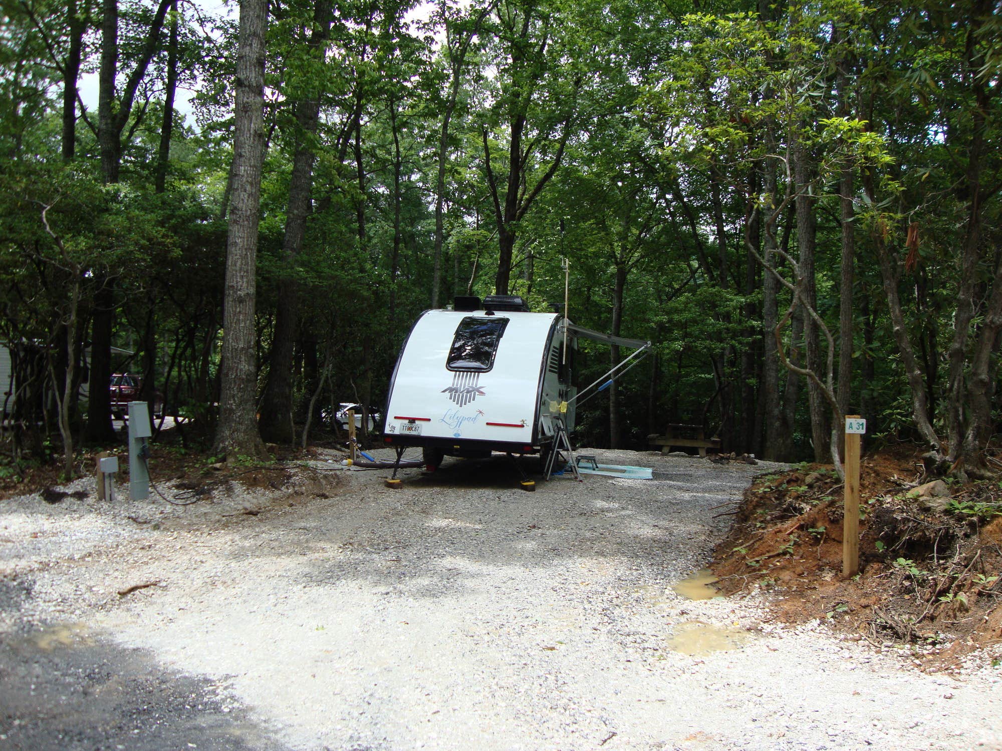 The Dyrt's photo at Spacious Skies Bear Den near Little Switzerland, NC