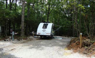 The Dyrt's photo at Spacious Skies Bear Den near Little Switzerland, NC