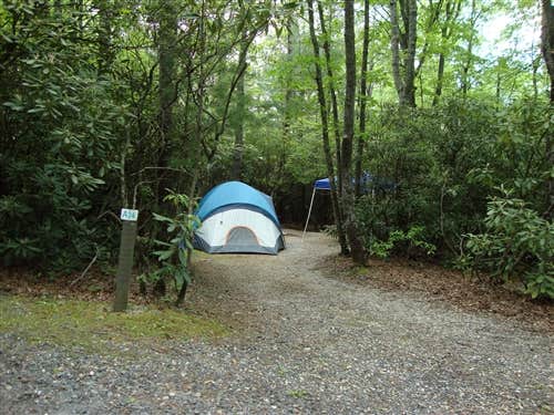 The Dyrt's photo at Spacious Skies Bear Den near Linville, NC
