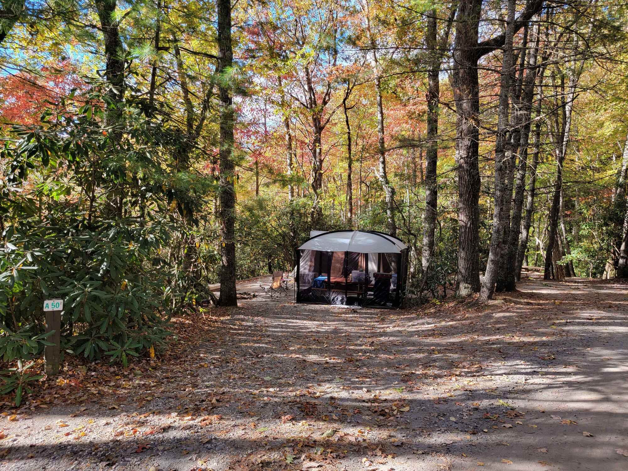 The Dyrt's photo at Spacious Skies Bear Den near Little Switzerland, NC