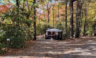 The Dyrt's photo at Spacious Skies Bear Den near Little Switzerland, NC